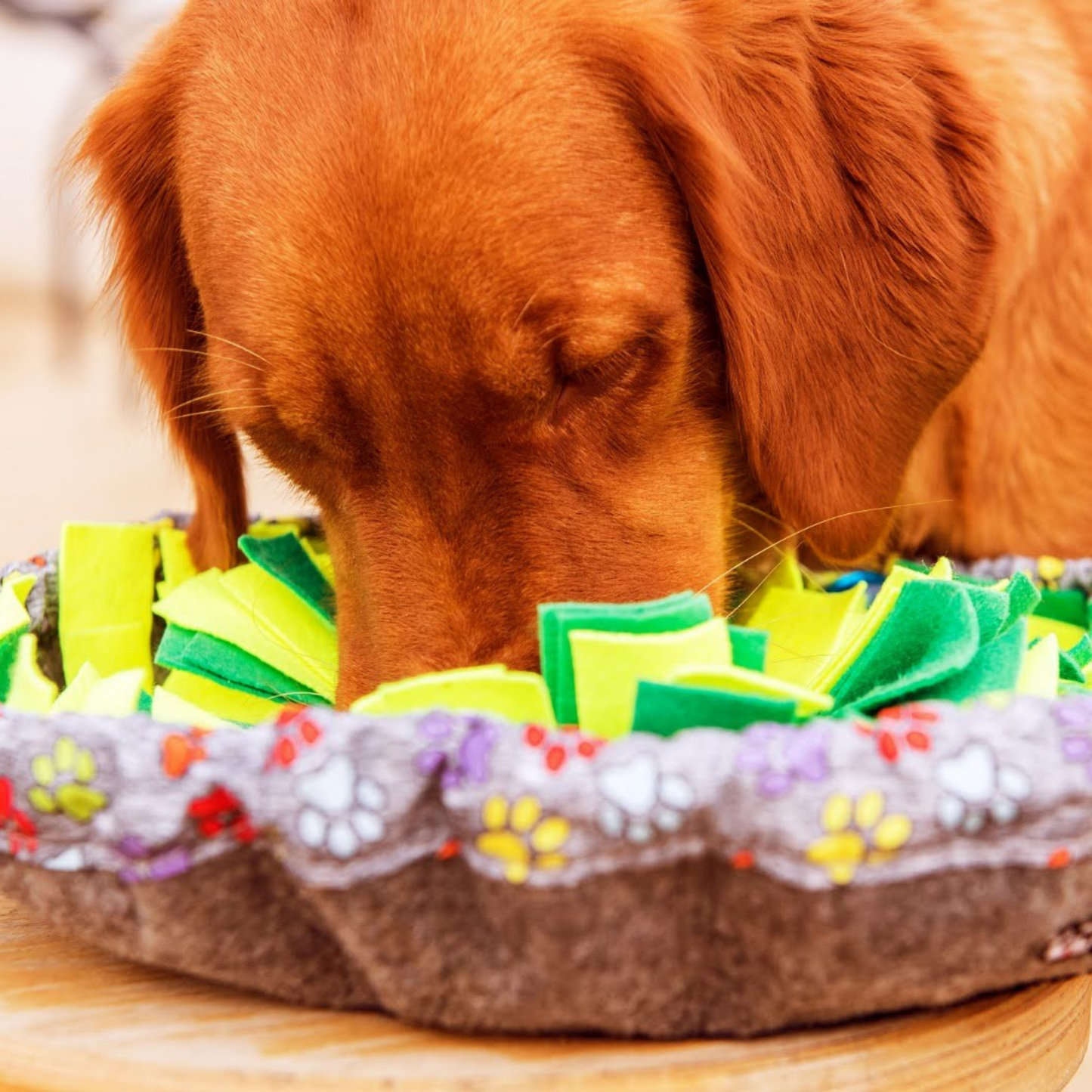 Wuf Salad Toy