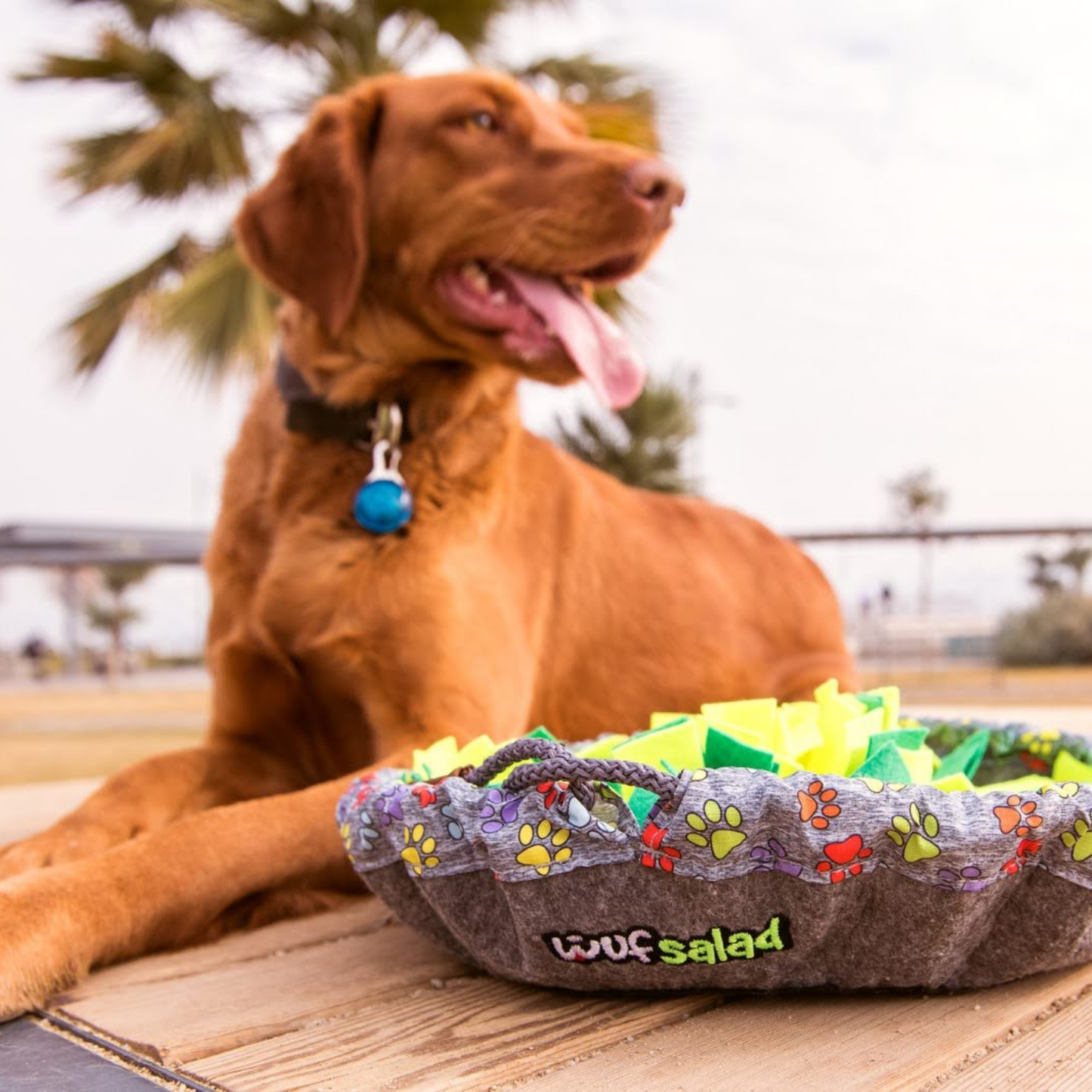 Wuf Salad Toy