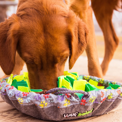 Wuf Salad Toy