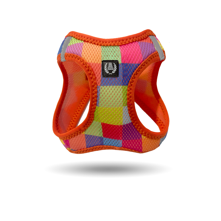 AlphaDog Air Mesh Harness Colorbox