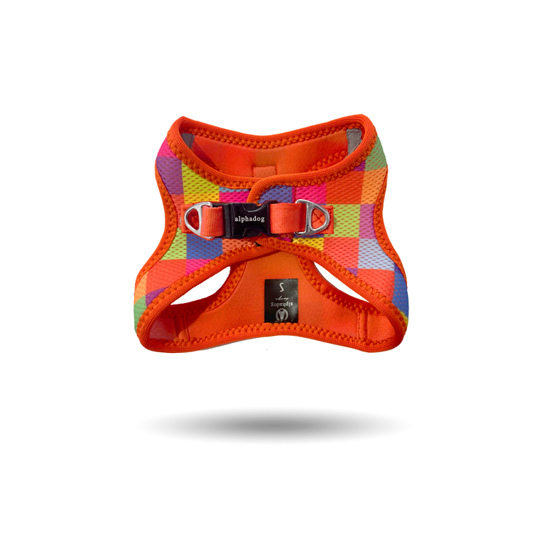 AlphaDog Air Mesh Harness Colorbox