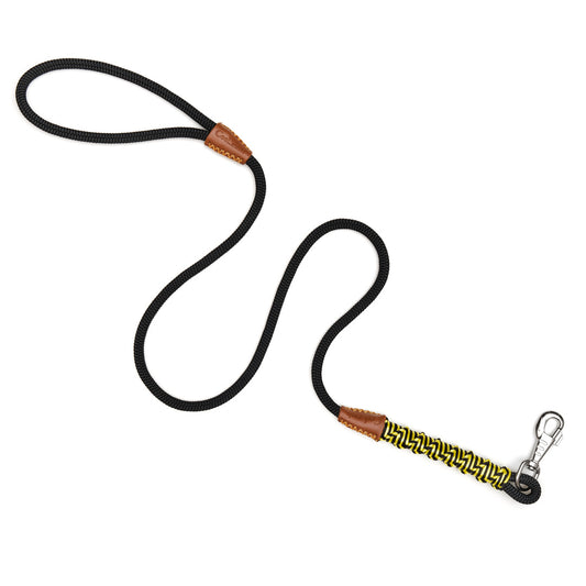 BumbleBee Leash