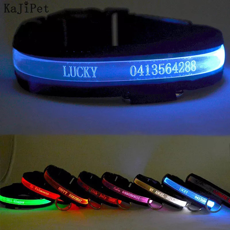 Letra Personalizada Led Collar de Perro Personalizado