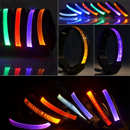 Letra Personalizada Led Collar de Perro Personalizado