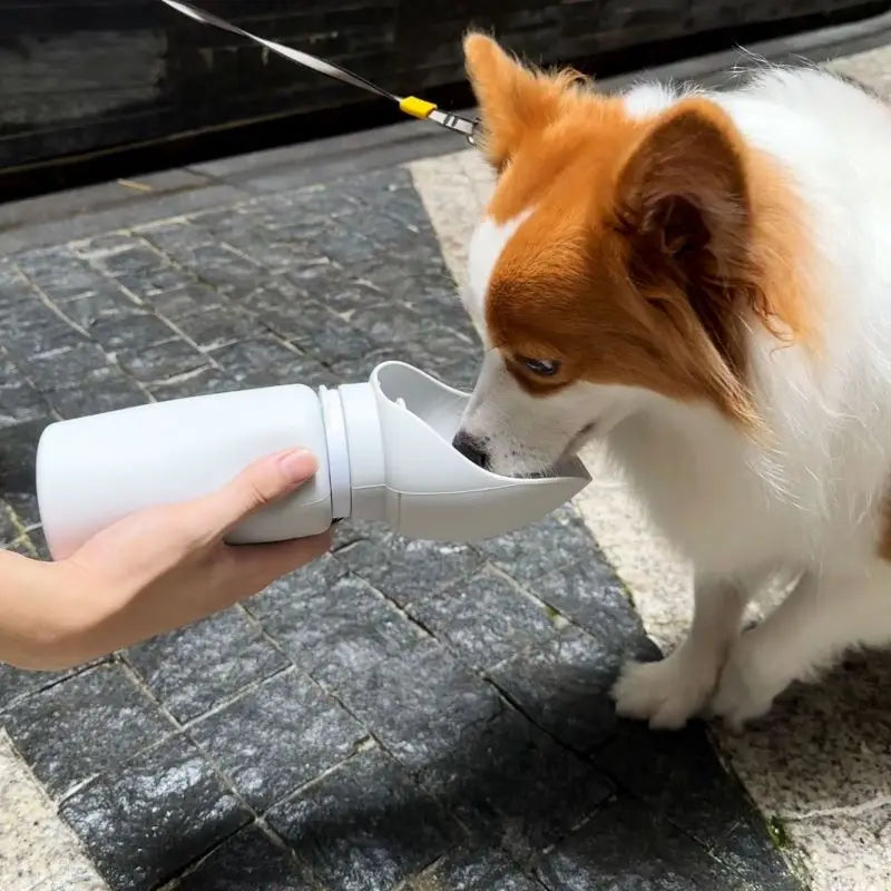 ESAHOME Plegable Mascota al aire libre Caminando