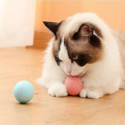 MOONBIFFY Juguetes eléctricos para gatos perros