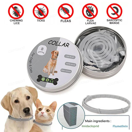 Collares Antipulgas y Garrapatas Para Perros