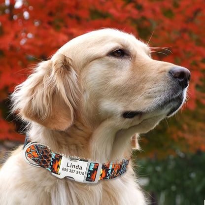 Collar de Perro Personalizado