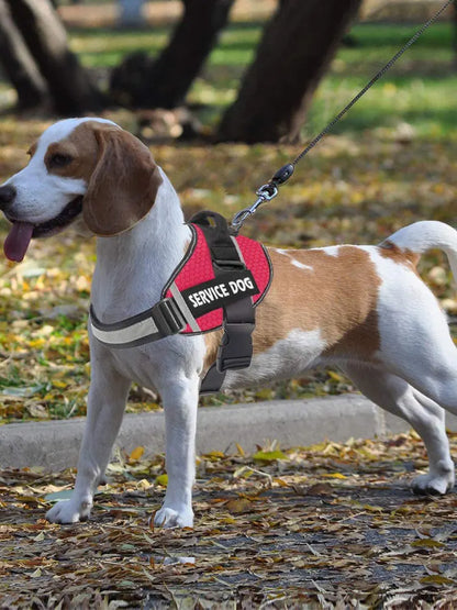 Personalizada Bulldog Francés Arnés Ajustable Mascot