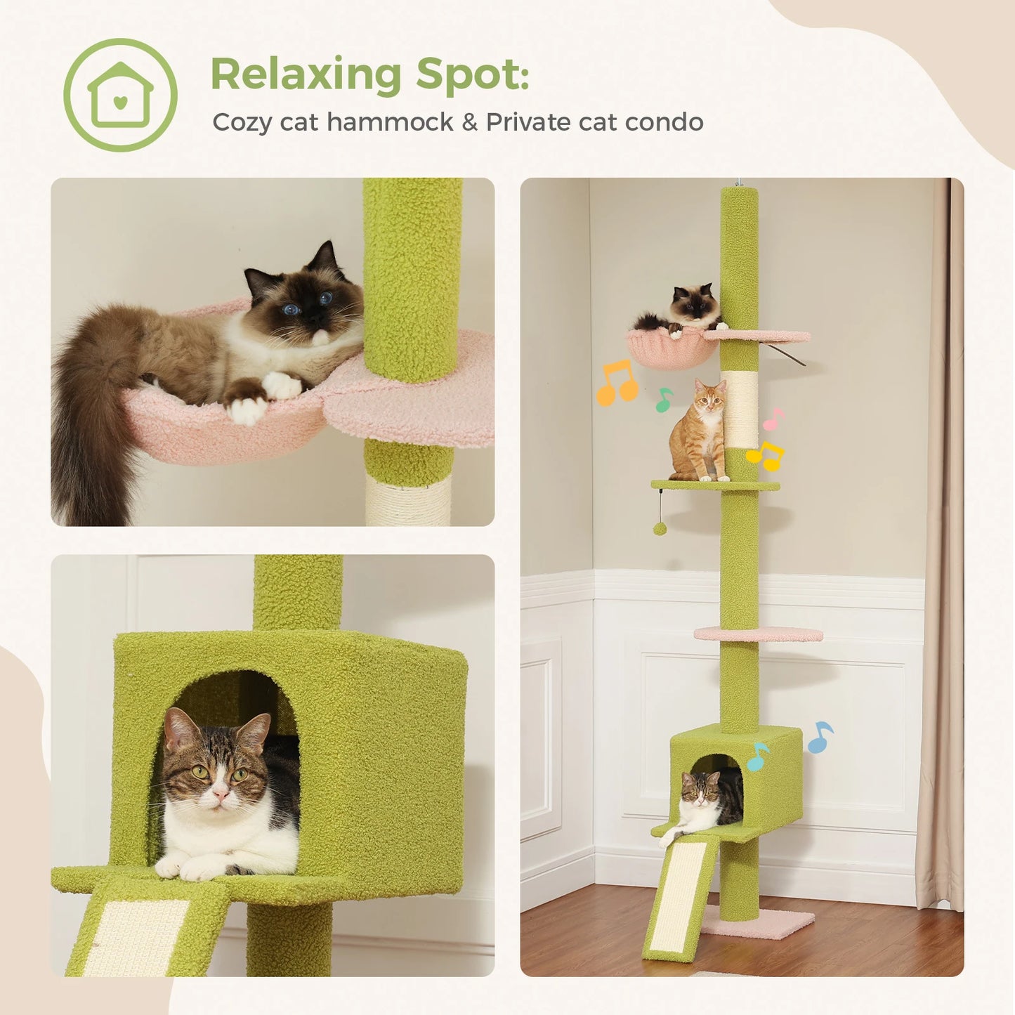 PAWZ Road Torre para gatos de suelo a techo 5 niveles Árbol para gatos de interior