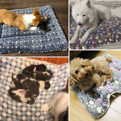 Mascotas estera de dormir Cama del perro Cama del gato